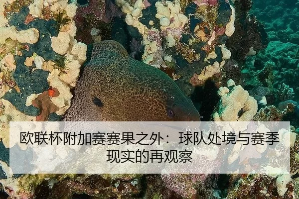 ou-lian-bei-fu-jia-sai-sai-guo-zhi-wai-qiu-dui-chu-jing-yu-sai-ji-xian-shi-de-zai-guan-cha-2-414.jpg
