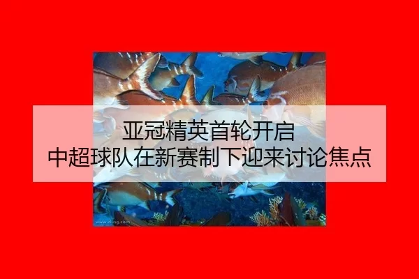 亚冠精英首轮开启 中超球队在新赛制下迎来讨论焦点